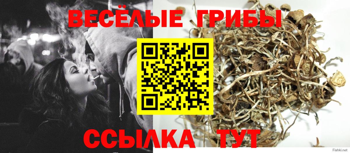 Галлюциногенные грибы Cubensis  Вход с VPN  даркнет сайт  Чапаевск 