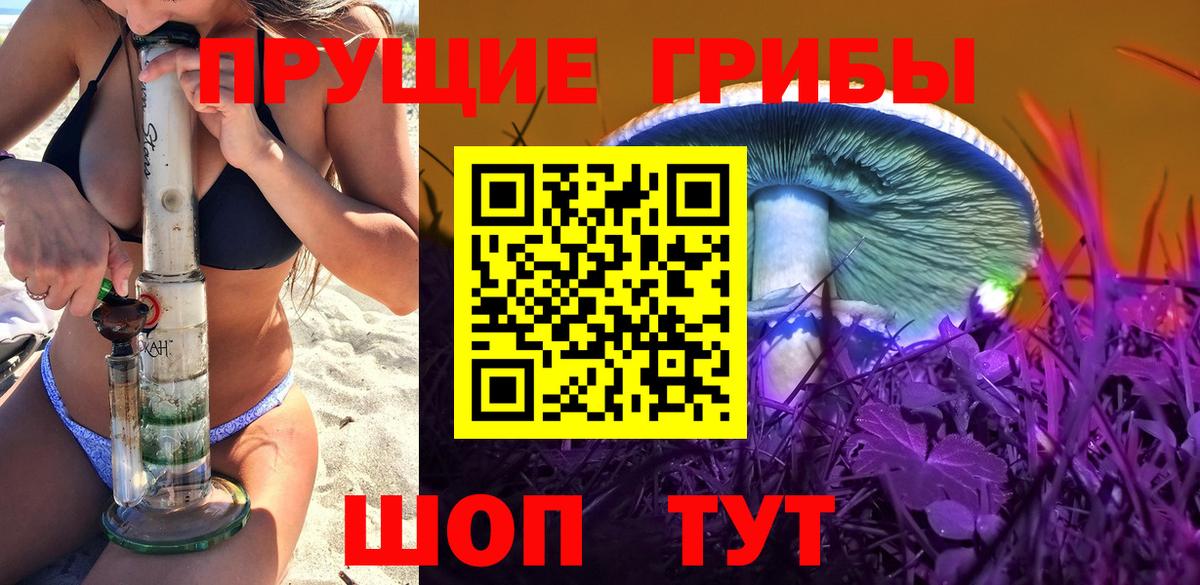 Псилоцибиновые грибы мицелий Чапаевск